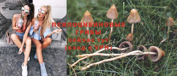 винт Арсеньев
