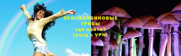 МДПВ Армянск