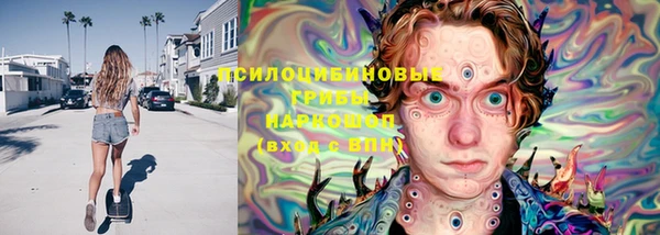 МДПВ Армянск